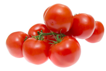 Branch of tomatoes isolated on white background