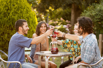 Group of friends having a toast