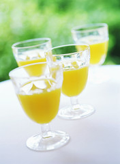 Fototapeta premium orange juice