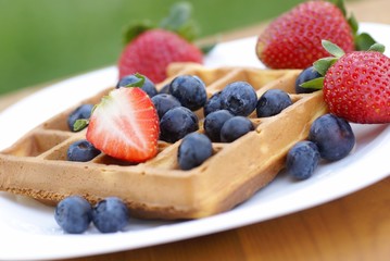 Close-up of plate with waffle and fresh fruits on garden table.
