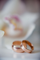 gold wedding rings