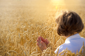 Woman holds wheat and pray for harvest