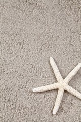 Starfish on sand. Background with copy space.