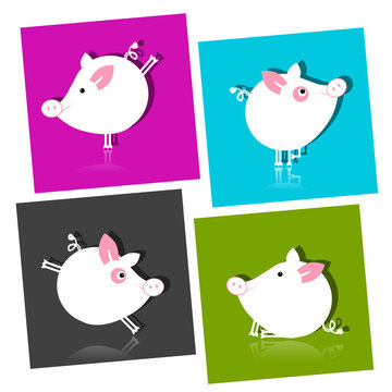 Cute piggy for your design