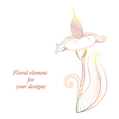 Fantasy floral element for your designe
