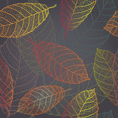 Autumn transparent leaves pattern background
