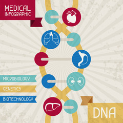 Fototapeta na wymiar Medical infographic DNA.