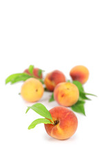 pêches
