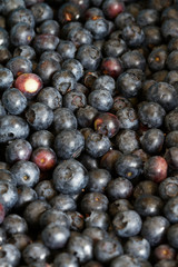 Fresh blueberries