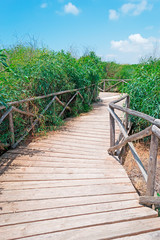 path and blue sky