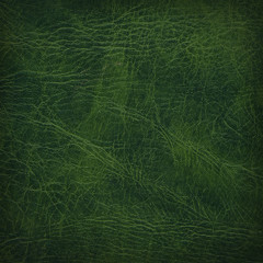 Leather Surface Background