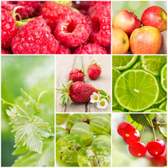 collage of summer fruits