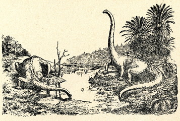 Jurassic landscape (Diplodocus by Hay  1910) © Juulijs