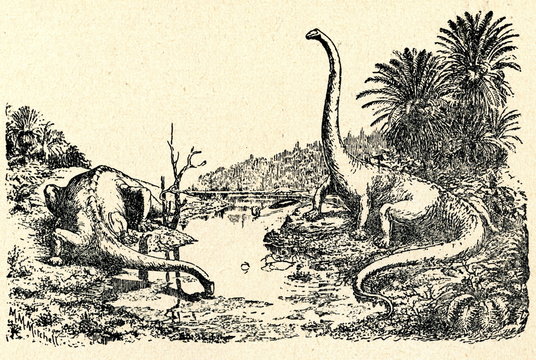 Jurassic landscape (Diplodocus by Hay  1910)