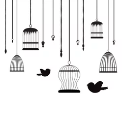 Printed kitchen splashbacks Birds in cages birds and birdcages background