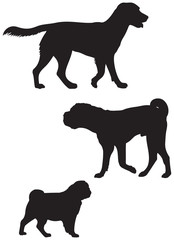 Dog breed silhouettes 3