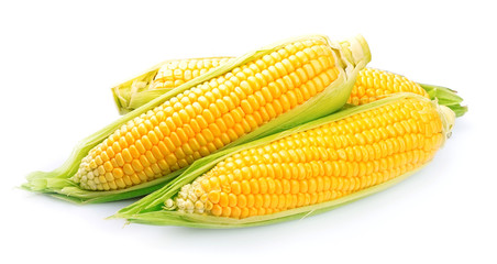 Corn isolated