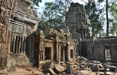 Ta Prohm ancient temple Angkor Wat Cambodia