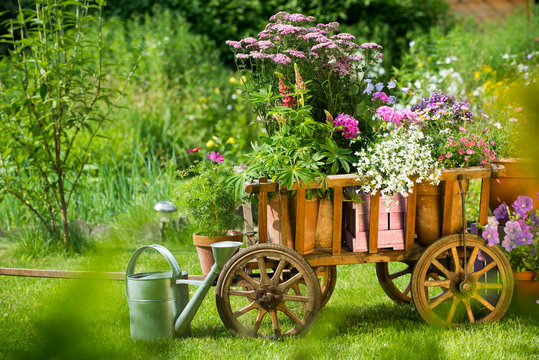 Gartenidylle mit Leiterwagen