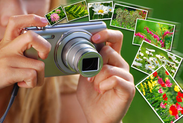 concept of taking nature photos  by digital camera - obrazy, fototapety, plakaty