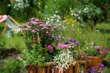 Gartenidylle mit Leiterwagen © DoraZett