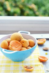 apricot fruits
