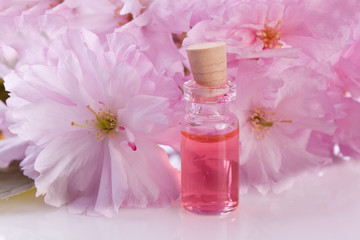 Plakat pink blossom flower and aroma essence