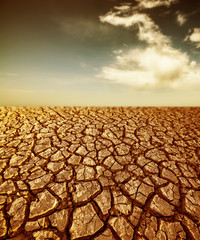 desert - cracked dried soil and sky