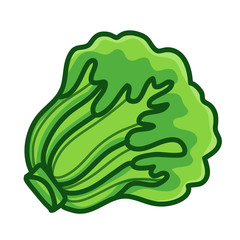green Lettuce cartoon isolated  illustration
