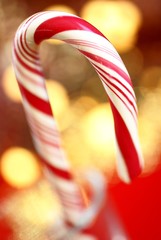 Detail of candy cane on holiday lights background