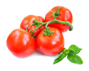 Tomatoes