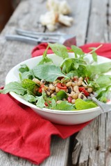 beans and ruccola salad