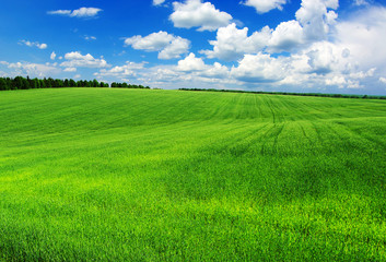 green field