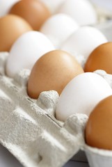 White and brown chicken eggs in carton box.