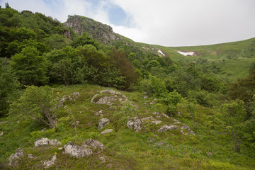 Dernière neige en montagne