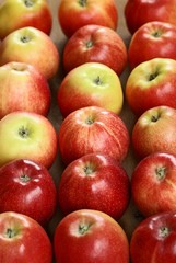 Fresh apples on wooden dark background.