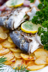 Fish - grilled sea bass with baked potatoes