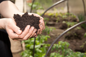 hands with black soil