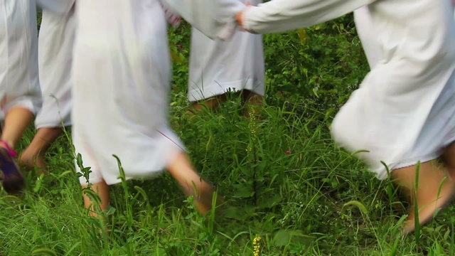 Fairies of the Forest
