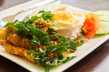 Fried chicken stir crispy basil with fried egg