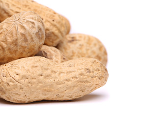 Roasted in-shell peanuts close-up