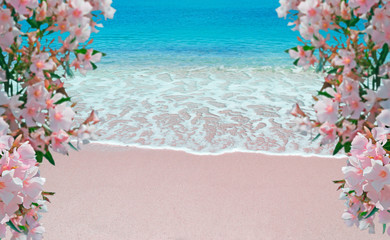 flowers and pink shore