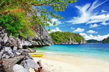Obraz premium tropical escape