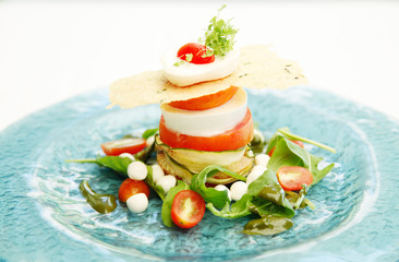 Fresh mozzarella sandwich tomato and salad .