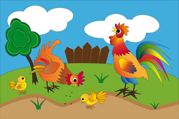Fototapeta premium Poultry