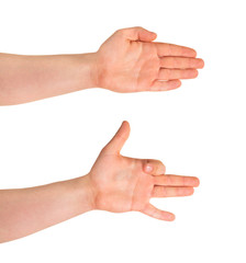 Dog hand gesture isolated