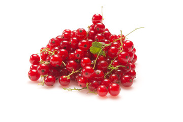 Currant Red