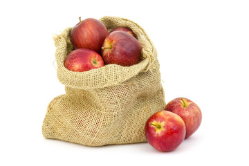 Burlap sack with apples on white background