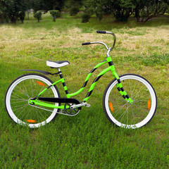 Fototapeta na wymiar Green bicycle standing on green meadow