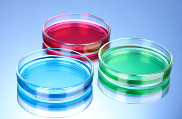 color liquid in petri dishes on blue background